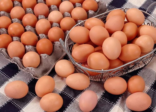 我市五批次食品抽檢不合格 市食藥監(jiān)局迅速立案查處守護(hù)食用農(nóng)產(chǎn)品安全